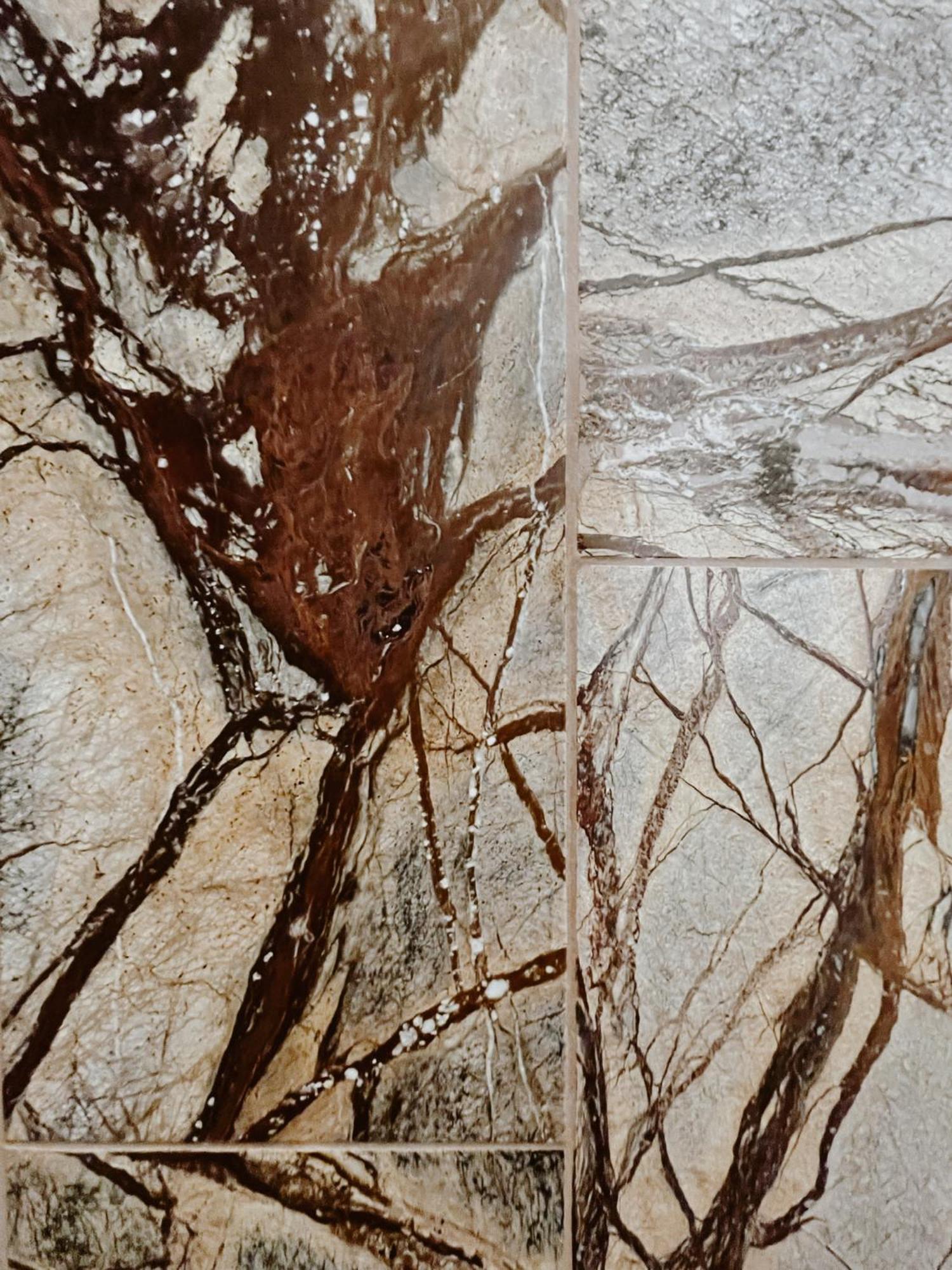Cisowy Zakatek Villa Sasino Rom bilde